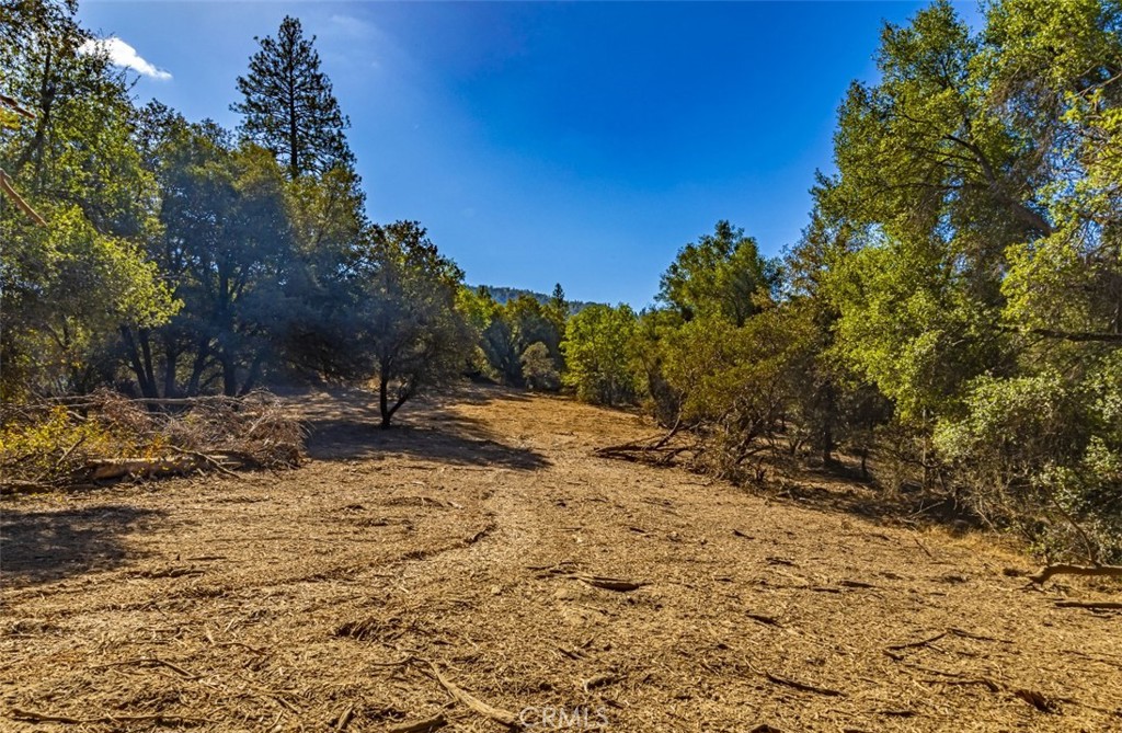 0 100 AC China Creek Way, Oakhurst, CA 93644 - BHGRE