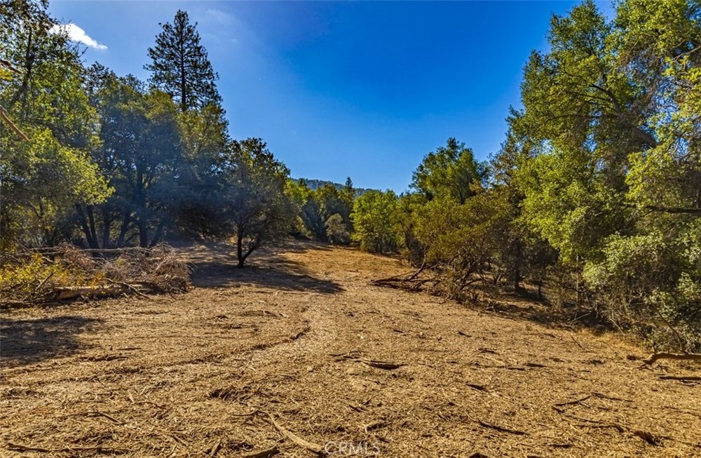 0 100 AC China Creek Way, Oakhurst, CA 93644 BHGRE