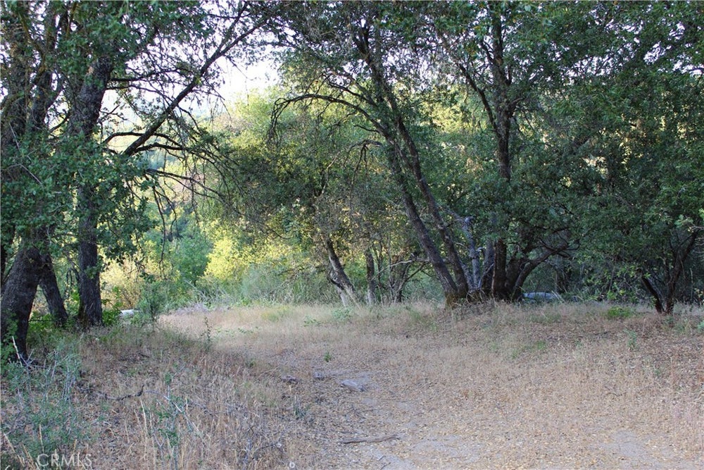 0 3.31 AC Meadowwood Road, Oakhurst, CA 93644 BHGRE