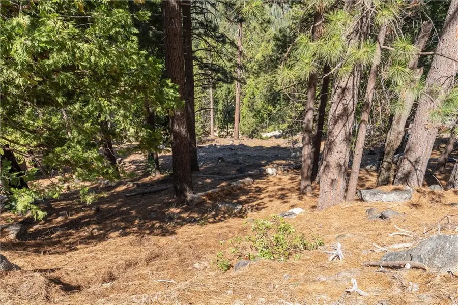 7477 Yosemite Park Way, Yosemite West, CA 95389 - Image #2