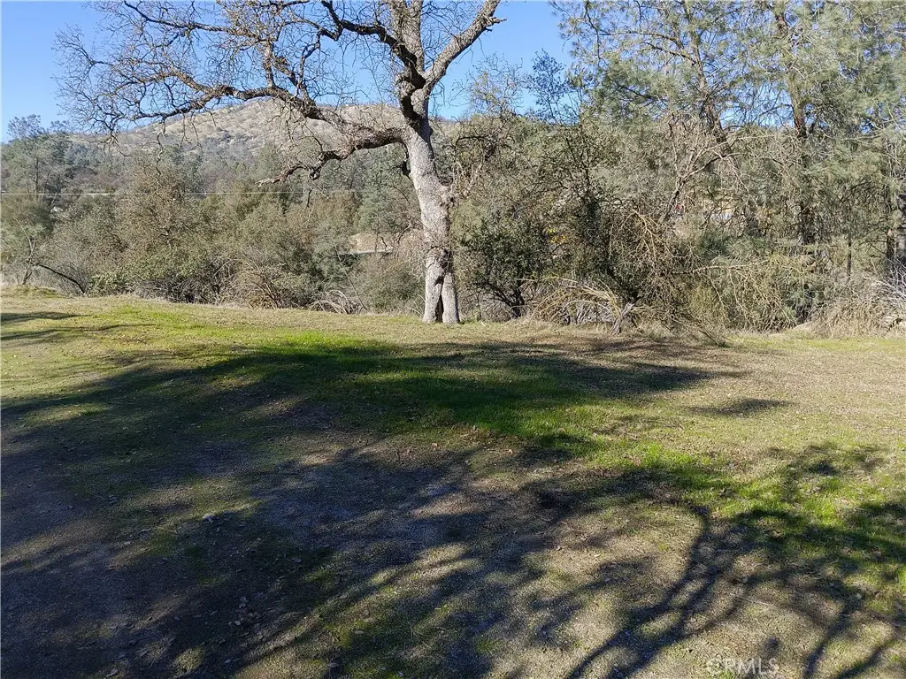 Lot 856 Deep Forest Drive, Coarsegold, CA 93614 - #1