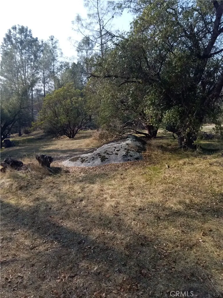 Lot 856 Deep Forest Drive, Coarsegold, CA 93614 - #3
