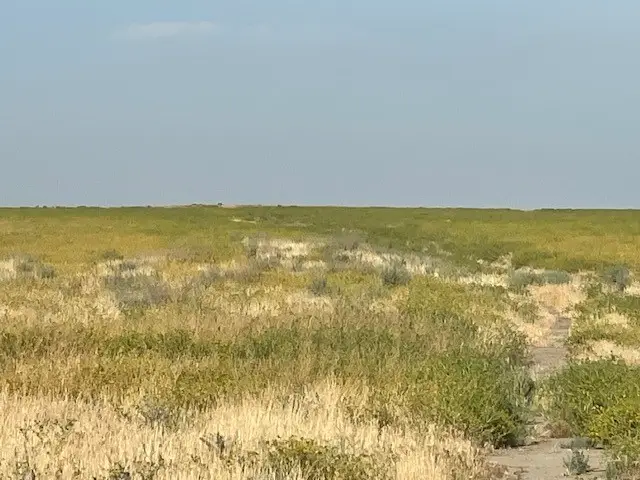 12 Poso Canal, Corcoran, CA 93212 - Image #2