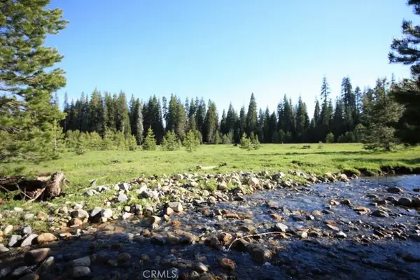 10 AC Beasore Road, Bass Lake, CA 93604