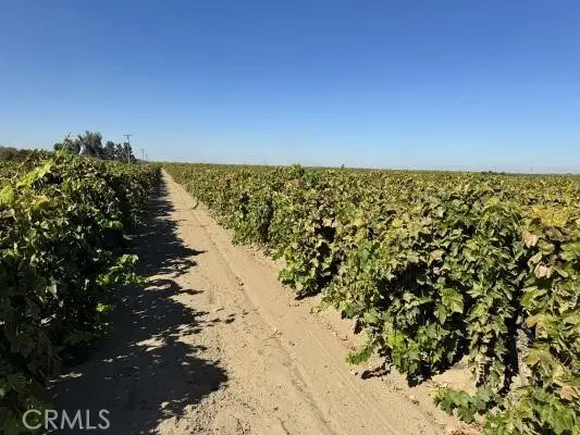 1 S Bishop, Kerman, CA 93630