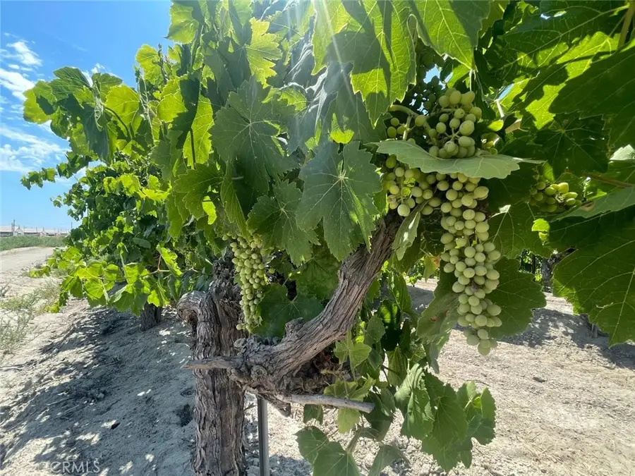 1 S Plumas Avenue, Kerman, CA 93630 - Image #2