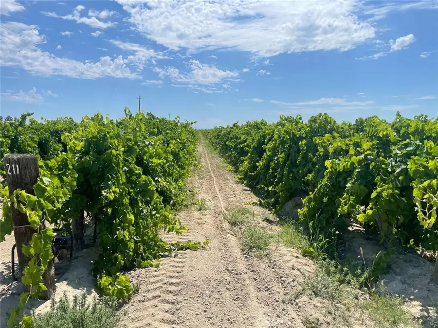 1 S Plumas Avenue, Kerman, CA 93630 - Image #3