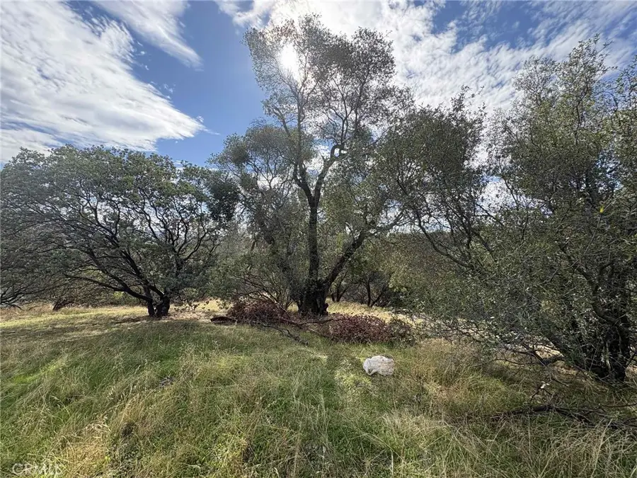 38699 Road 600, Raymond, CA 93653 - Image #2