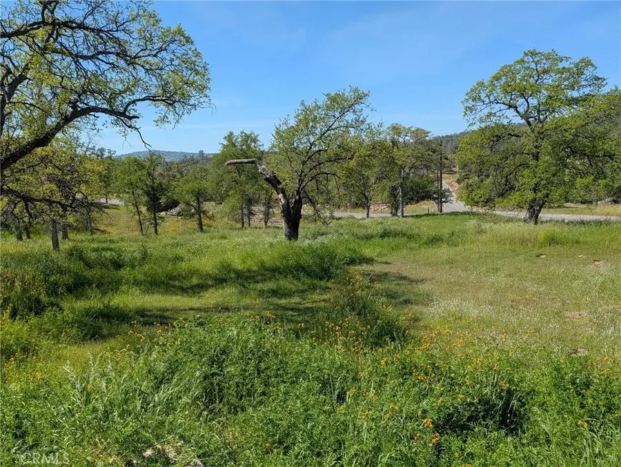 43243 Long Hollow Drive, Coarsegold, CA 93614 - #3