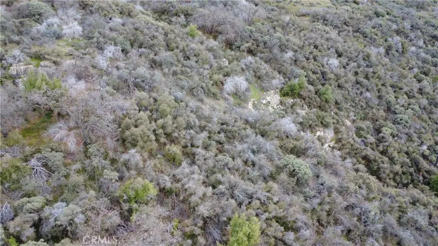 0 Apn 195-070-01, Miramonte, CA 93641 - #2