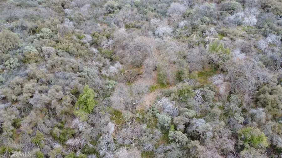 0 Apn 195-070-01, Miramonte, CA 93641 - #3