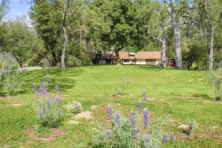 28911 Gray Squirrel, Coarsegold, CA 93614 - #2