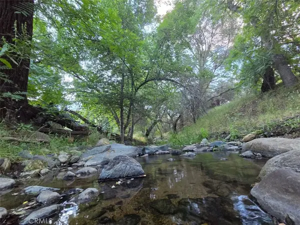 33555 Merrill Ranch Road, O'Neals, CA 95645