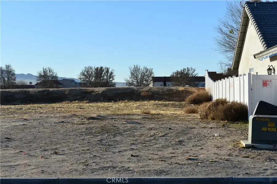 27231 Peach Tree Lane, Helendale, CA 92342 - #3