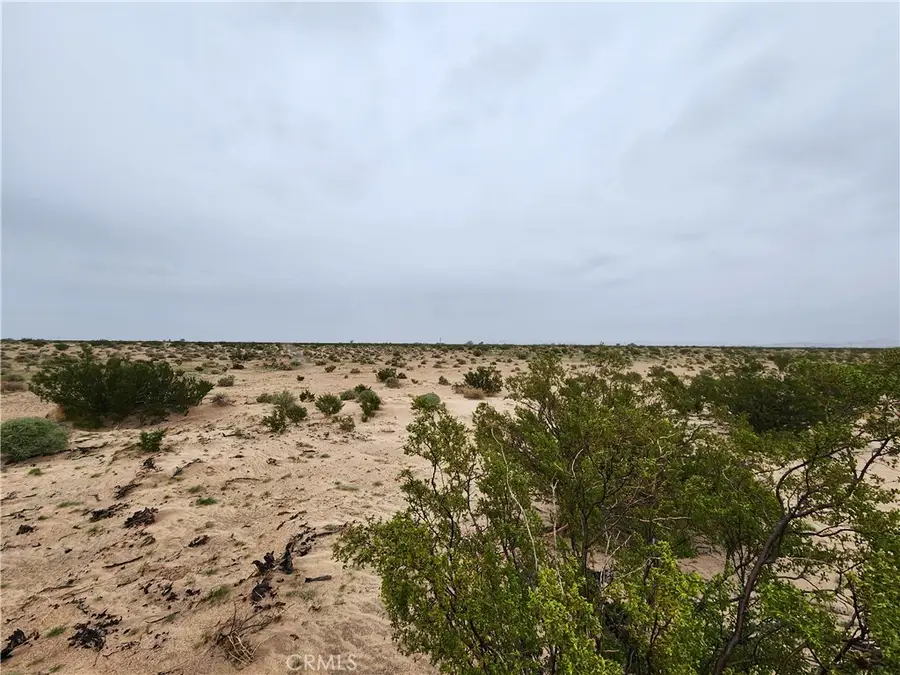 3 Near Fairview Road, Newberry Springs, CA 92365 - #3