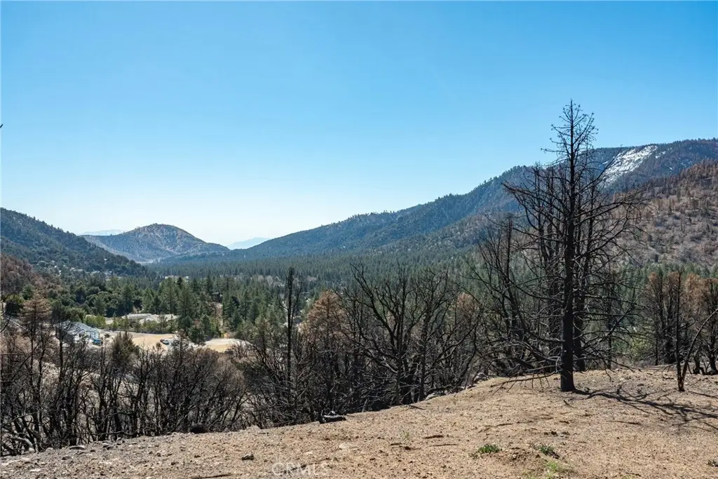 0 North Cardinal Rd, Wrightwood, CA 92397 - #1