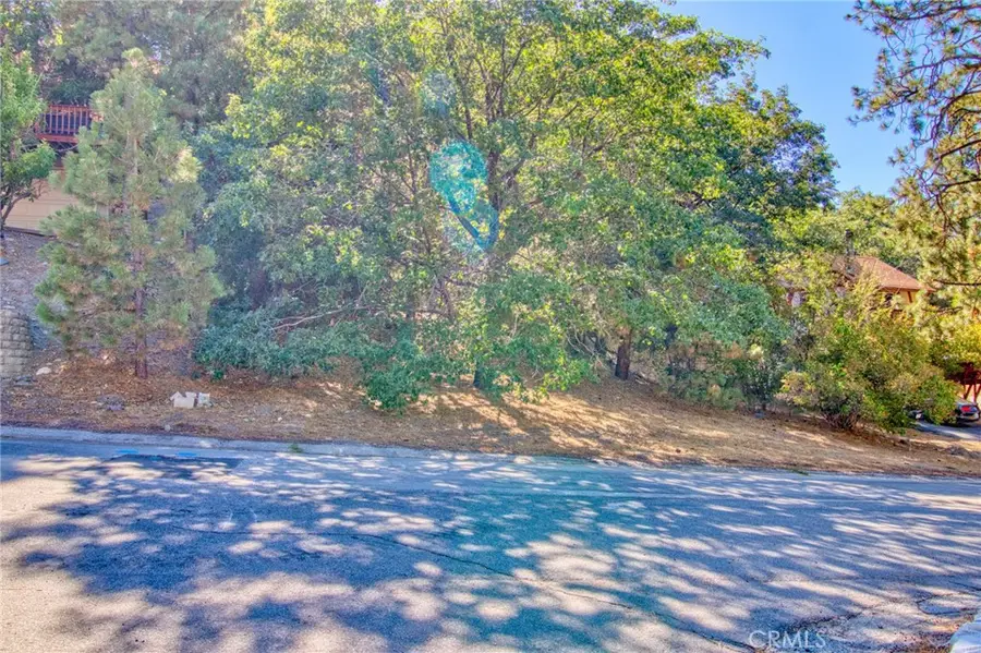 0 Flume Canyon, Wrightwood, CA 92397 - #3