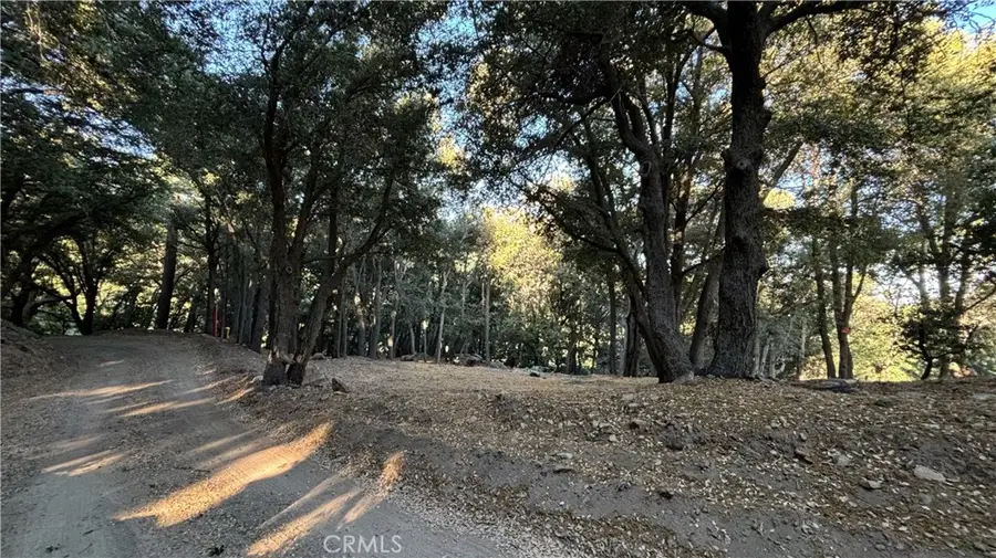 722 Mojave River Road, Cedarpines Park, CA 92322 - #2