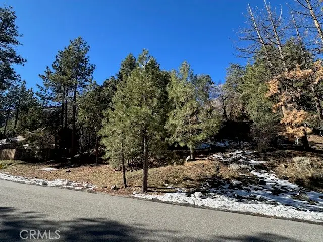 0 Flume Canyon, Wrightwood, CA 92397 - #2