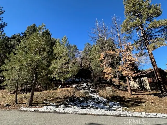0 Flume Canyon, Wrightwood, CA 92397 - #3