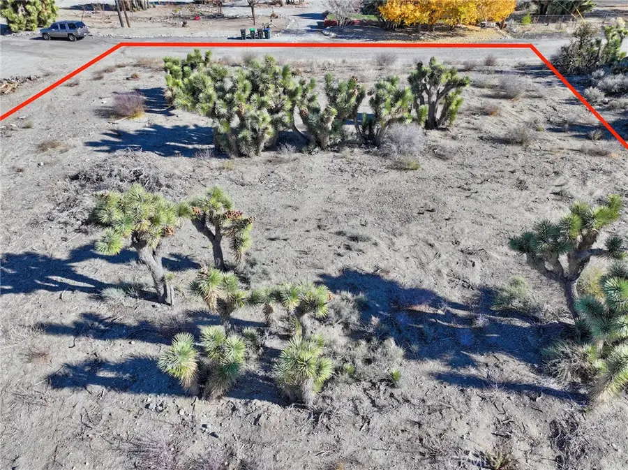 7325 Desert Front Road, Pinon Hills, CA 92397 - Image #3