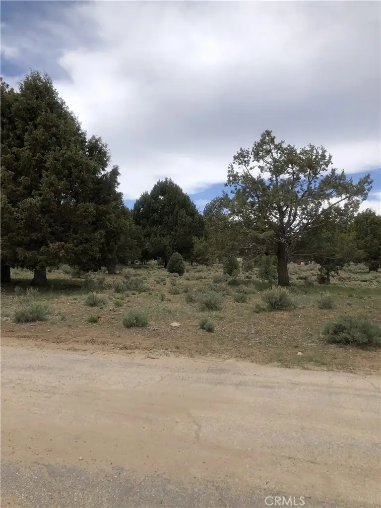 0 West, Big Bear City, CA 92314 - #2