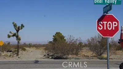 0 Bear Valley Road, Pinon Hills, CA 92372 - #2