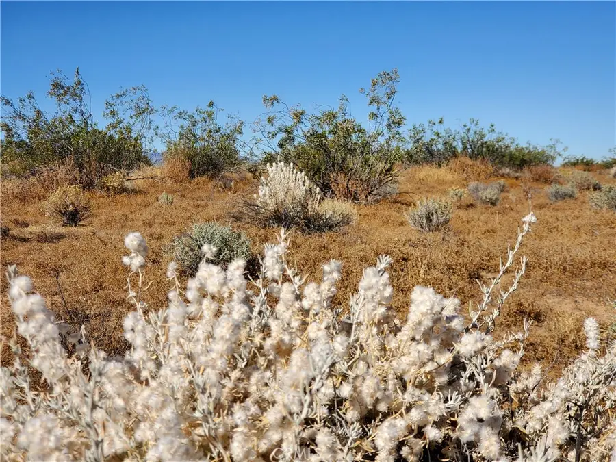 2 AC Ave L12, Lake Los Angeles, CA 93535 - #2