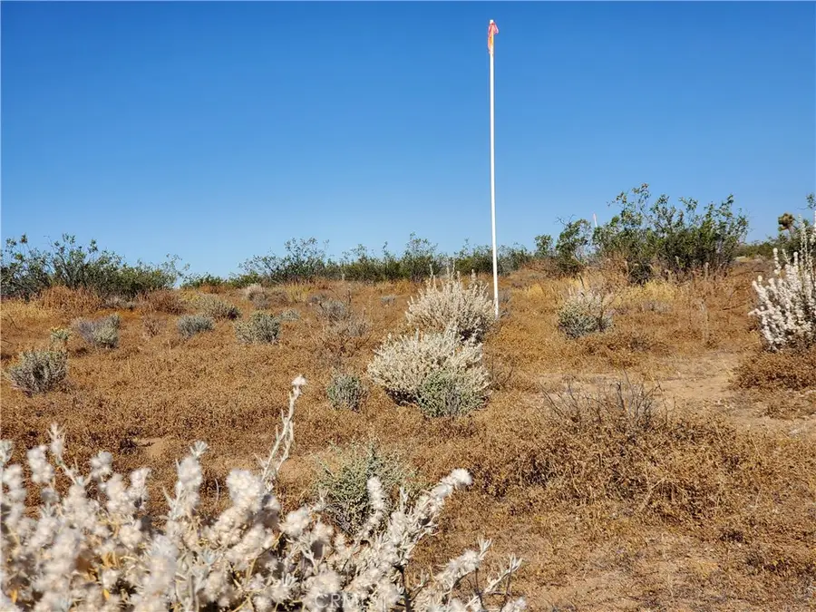 2 AC Ave L12, Lake Los Angeles, CA 93535 - #3