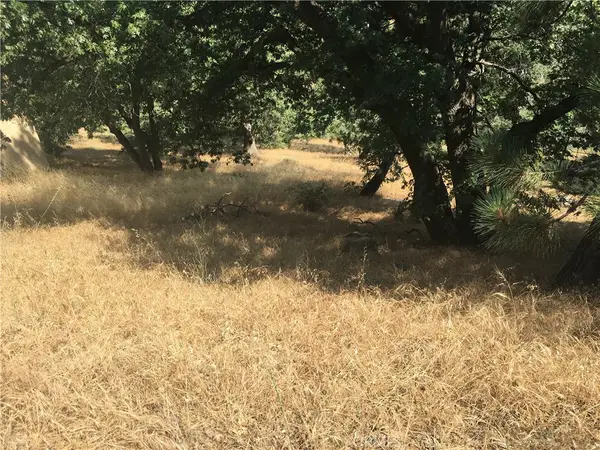 30481 Live Oak, Running Springs, CA 92382