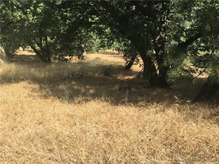 30481 Live Oak, Running Springs, CA 92382 - #2