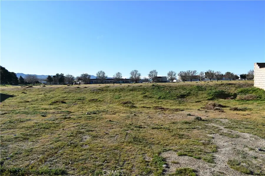 27237 Peach Tree Lane, Helendale, CA 92342 - #2