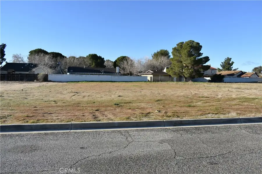 14817 Crofton Lane, Helendale, CA 92342 - #3