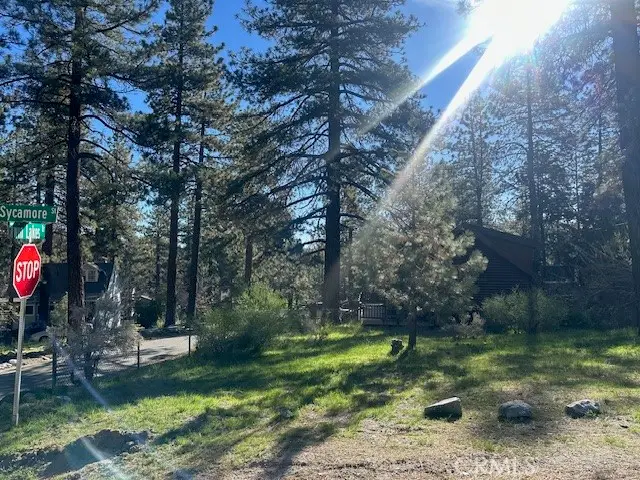 0 Twin Lakes, Wrightwood, CA 92397 - #1