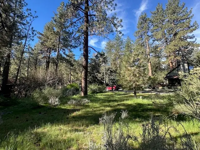 0 Twin Lakes, Wrightwood, CA 92397 - #3