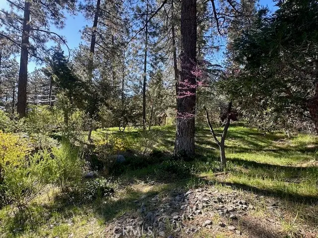1725 Twin Lakes, Wrightwood, CA 92397 - #3