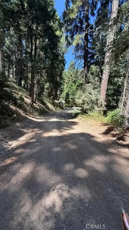 34207243 Mojave River Rd., Cedarpines Park, CA 92322 - #1