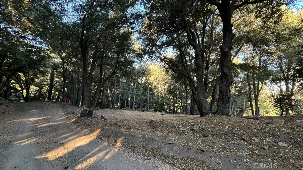 722 Mojave River Road, Cedarpines Park, CA 92322 - #1