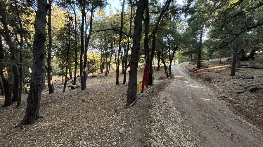 722 Mojave River Road, Cedarpines Park, CA 92322 - #3