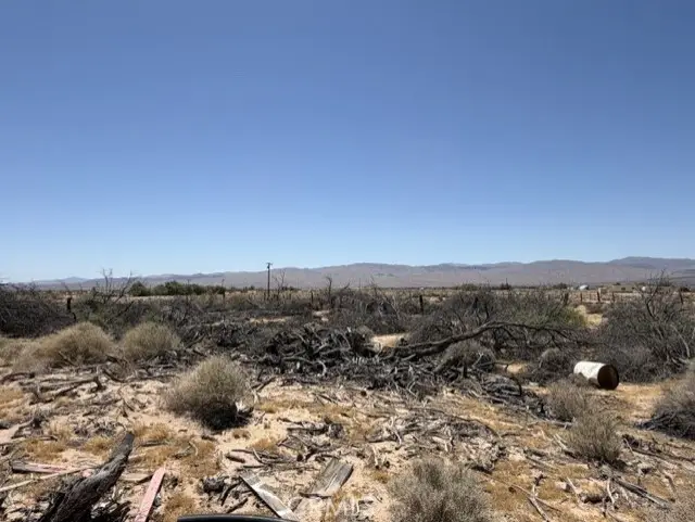 48423 Thoreau Road, Newberry Springs, CA 92365 - #2