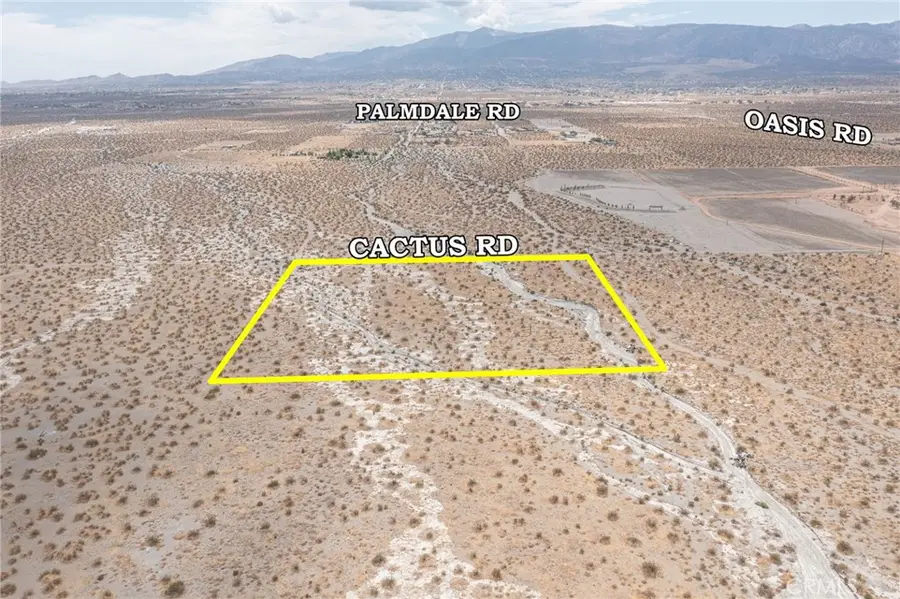 31001214 Cactus Road, Pinon Hills, CA 92372 - #2