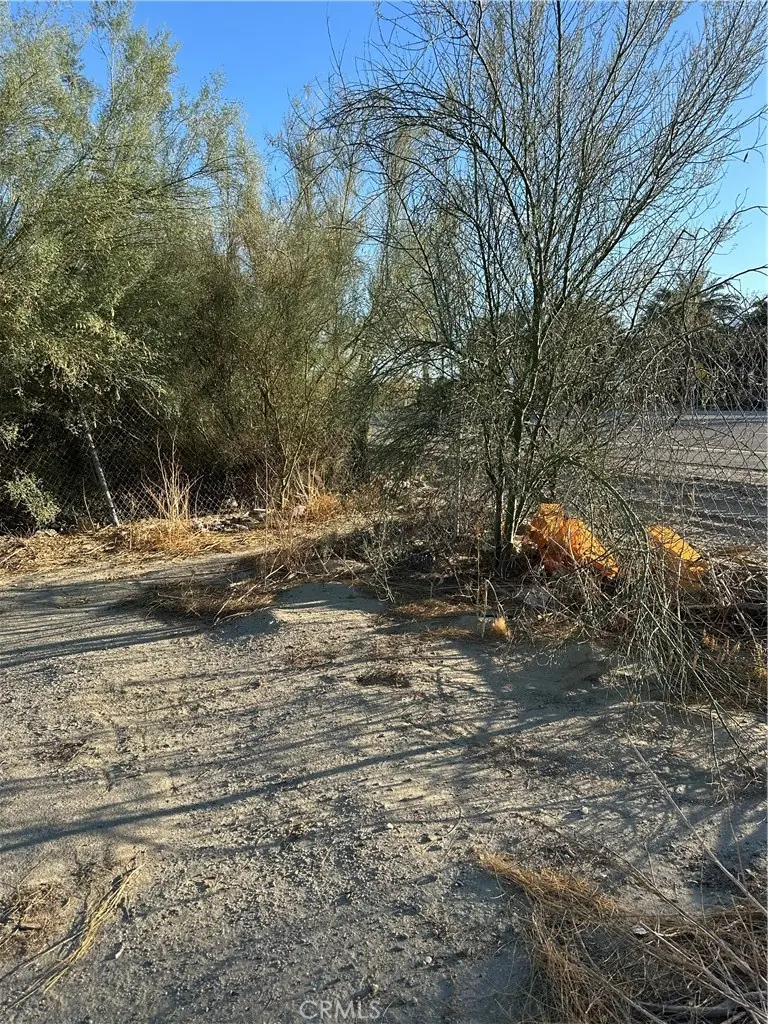 66038 Harrison Street, Thermal, CA 92274 - #3