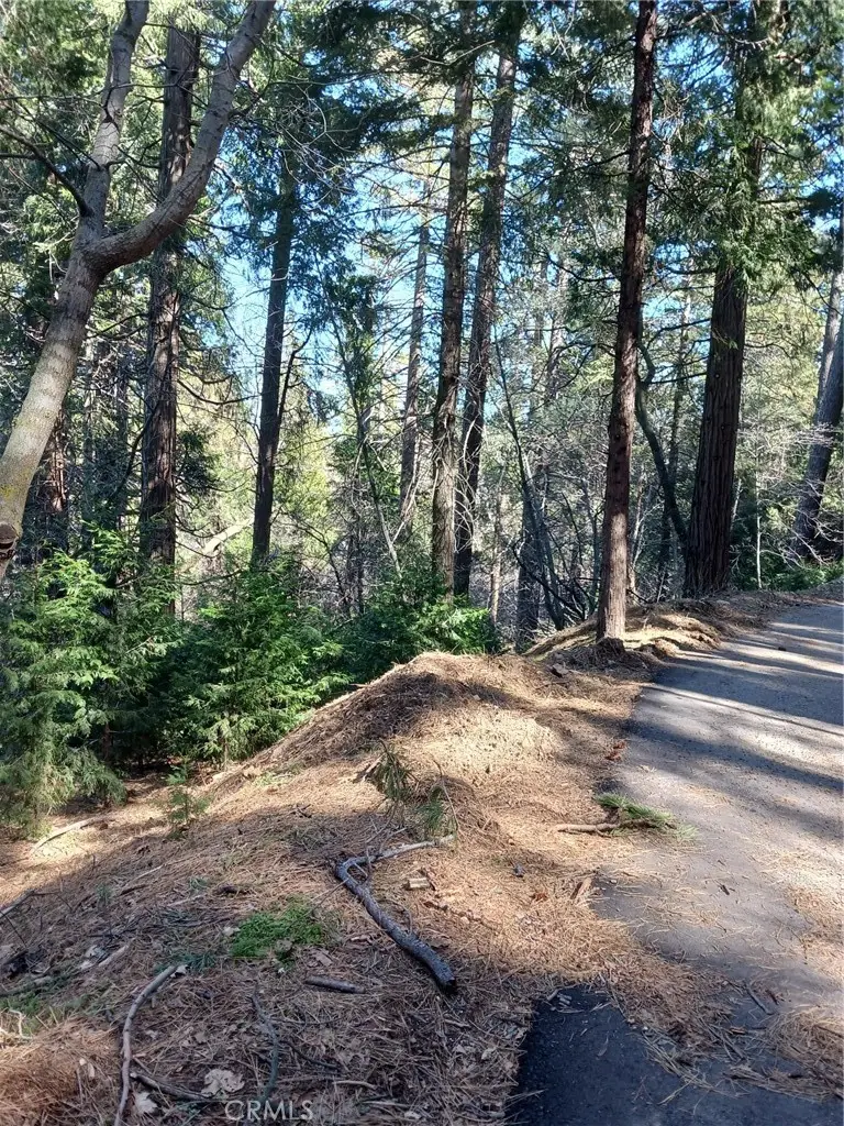 35 Spring Drive, Cedarpines Park, CA 92322 - Image #3