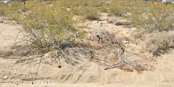 1 Alta Loma Drive, Twentynine Palms, CA 92277 - Image #1