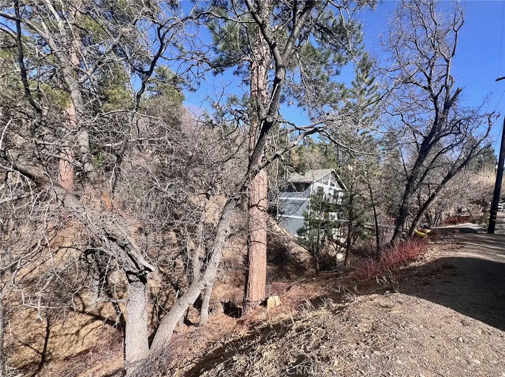 1230 S Minton Avenue, Big Bear City, CA 92314 - Image #1