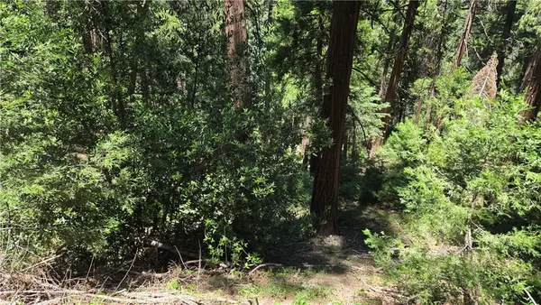 0 Deer Run Road, Cedarpines Park, CA 92322