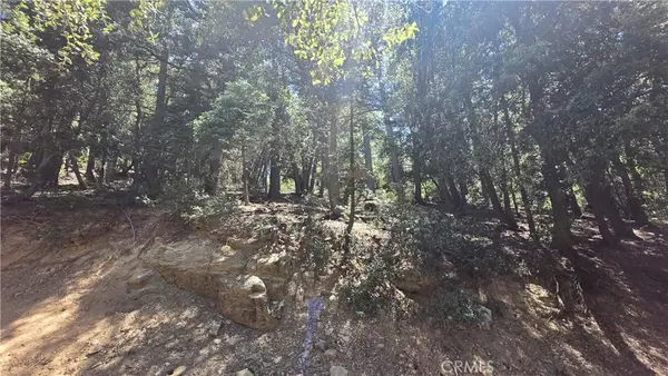 0 Mojave River Road, Cedarpines Park, CA 92322