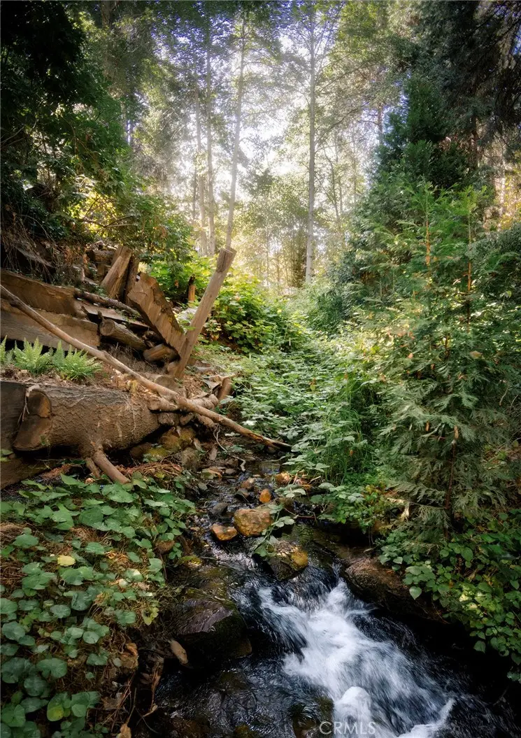 407 Dolly Varden Drive, Lake Arrowhead, CA 92352 - Image #3