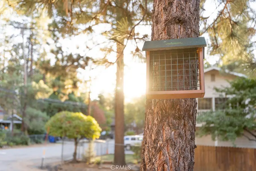 701 Irving, Big Bear City, CA 92314 - #3