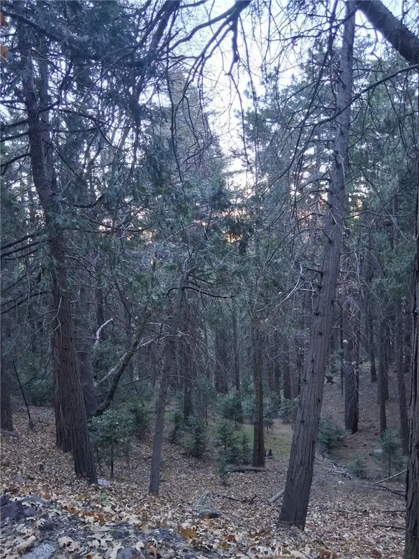 0 Reservoir, Cedarpines Park, CA 92322